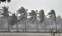 Nagpur records highest July rainfall in last 10 years