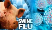 Nagpur reports 8 new swine flu cases