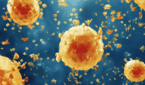 Swine flu havoc continues, Nagpur reports five more deaths