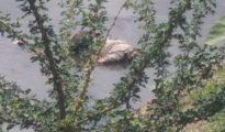 Body found floating in Nag River near Kumbhartoli