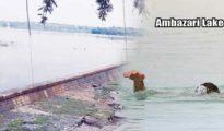 Youth drowns in Ambazari Lake