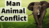State Govt hikes compensation to Rs 20 lakh for human death in wild animal attack