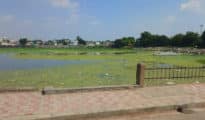 Sakkardara Lake, Gandhi Sagar in poor condition even before immersions: Study