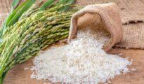 Rice Export: HC directs Sudan-based-firm to deposit Rs 12.82 crore in court