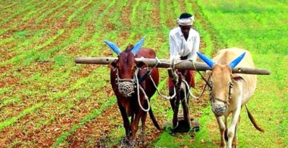 अब खेती खरीदने-बेचने की 5 गुंठा की मर्यादा !