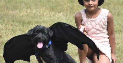 Dog’s Day Out: All Pet Fashion Show organised in Nagpur