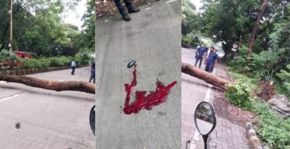 Biker dies as tree falls on him in Civil Lines