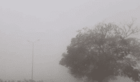 Nagpur, Yavatmal coldest in Vidarbha as mercury dips to 13 deg Celsius on Nov 14
