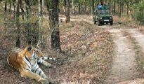 Satpura Tiger Reserve to get a new gate, Nagpurians to get benefitted