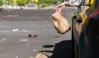 NDS slaps man with Rs 1 lakh fine instead of Rs 400 for throwing food on road