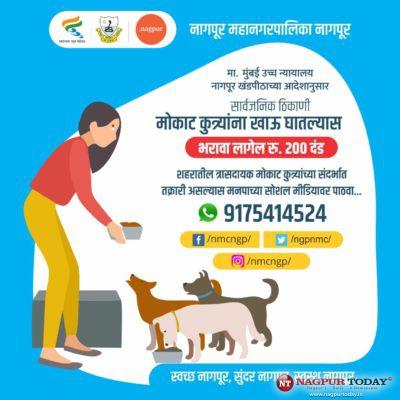NMC launches helpline number for stray dogs, details here - Nagpur Today :  Nagpur News