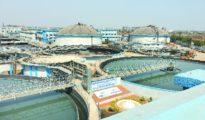 Nagpur City generates total 520 MLD of sewage per day, NMC treats 330 MLD: RTI reply