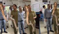 Fact Check: Video of snake rescued from LIC Office is not from Nagpur!!