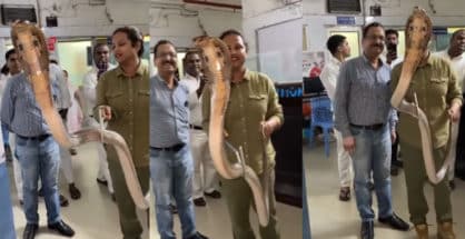 Fact Check: Video of snake rescued from LIC Office is not from Nagpur!!