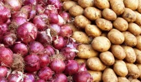 Onion, potato prices go up in Nagpur wholesale market over short supply