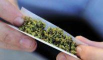 Ganja racket: Role of senior Nagpur Jail staffers under police scanner