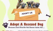 Save Speechless Org’s Adoption Campaign on Jan 1