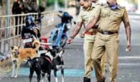 Woof, woof: Now, after notorious goons, stray dogs under Nagpur police radar!!