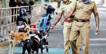 Woof, woof: Now, after notorious goons, stray dogs under Nagpur police radar!!