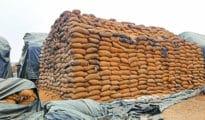 गोदाम से सात टन सरकारी अनाज बरामद
