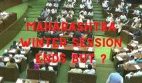 Vidarbha issues take backseat, border row, land ‘scam,’ other issues dominate Winter Session