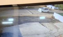Video: Assailants chase two bootleggers in car before killing them in Nagpur