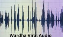 Viral audio: Estranged wife of BJP MP Ramdas Tadas’s son hatches plan to frame his family with infamous ‘YouTuber’ scribe