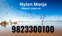 Nagpurians, if you find sale or use of banned nylon manja, report cops on 9823300100