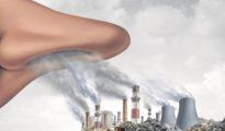 Health hazard: Out of 365 days, only 58 days were pollution free in Nagpur: CPCB data
