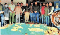 Hunting of tiger in Pench: Four poachers arrested