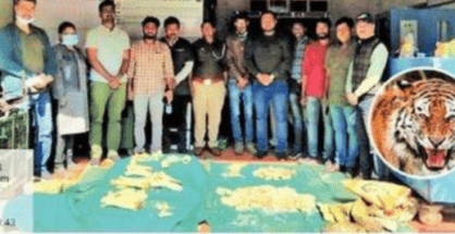 Hunting of tiger in Pench: Four poachers arrested