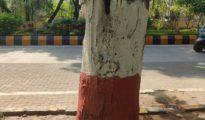 Worth A Wait! NMC starts removing nails left from C-20 lighting