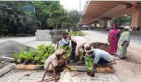 Unseasonal plantation of 2.1 lakh saplings ahead of C-20 irks Greens in Nagpur: Report