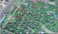 Satellite images reveal trees chopped off at Ajni, but cops avoid FIR