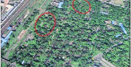 Satellite images reveal trees chopped off at Ajni, but cops avoid FIR