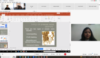 MNLU, Nagpur holds Virtual Expert Lecture on ‘Domain Name Registrations and Disputes’