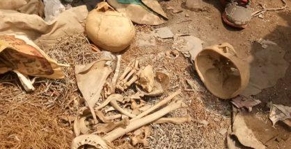 Human skeletons found in Kamptee?