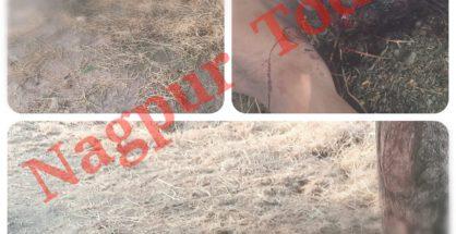 क्या यह कलमना पुलिस और क्राईम ब्रांच की नाकामयाबी है ?