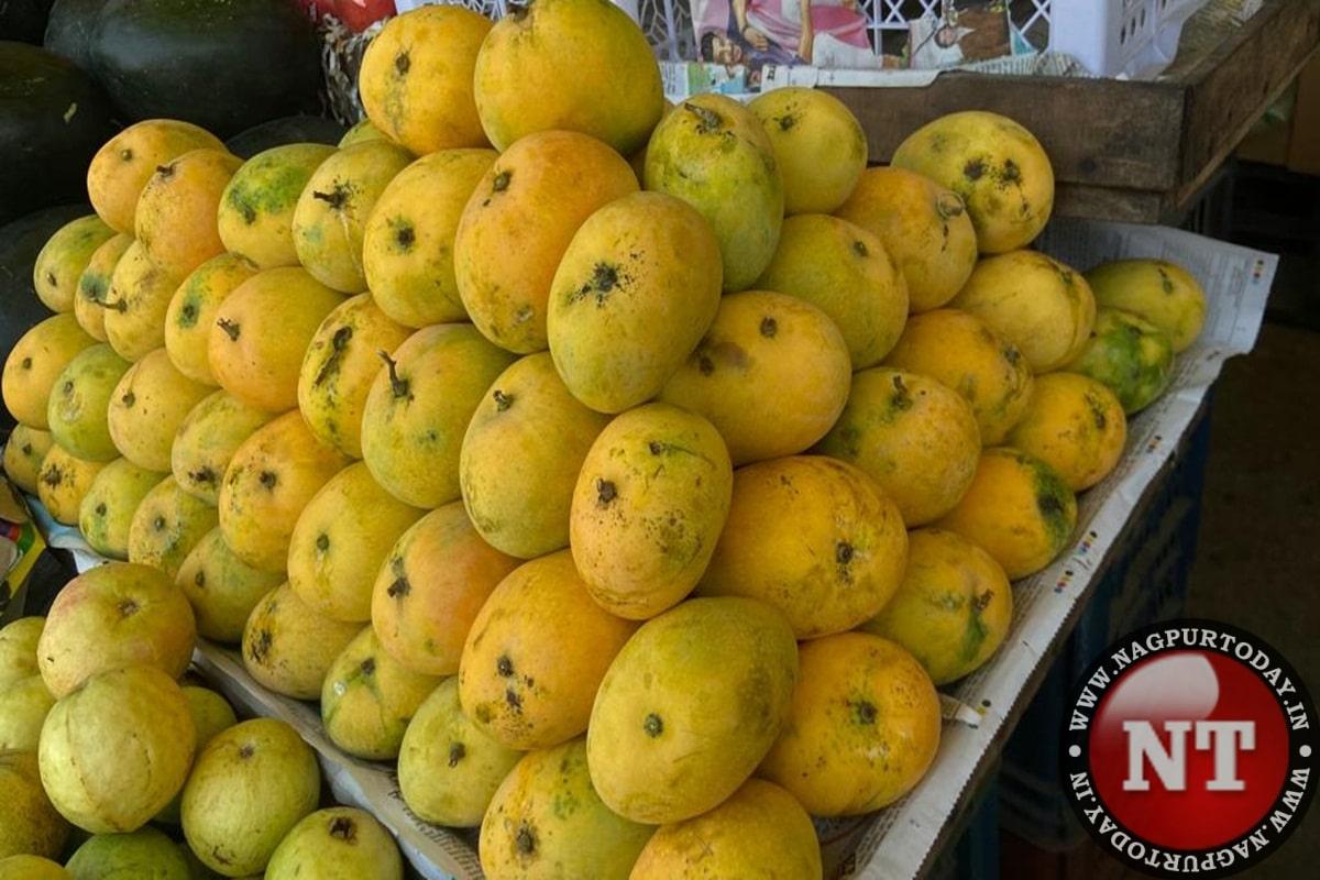 Mangoes start arriving in Nagpur markets in crates