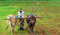 Maha Govt also to give Rs 6,000 to farmers in addition to Centre’s aid