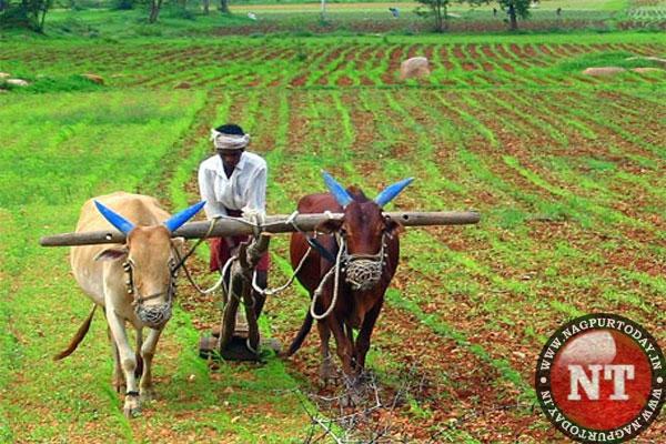 Maha Govt also to give Rs 6,000 to farmers in addition to Centre’s aid