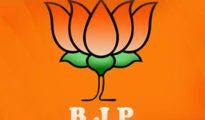BJP names heads for Lok Sabha, Assembly elections in Maharashtra