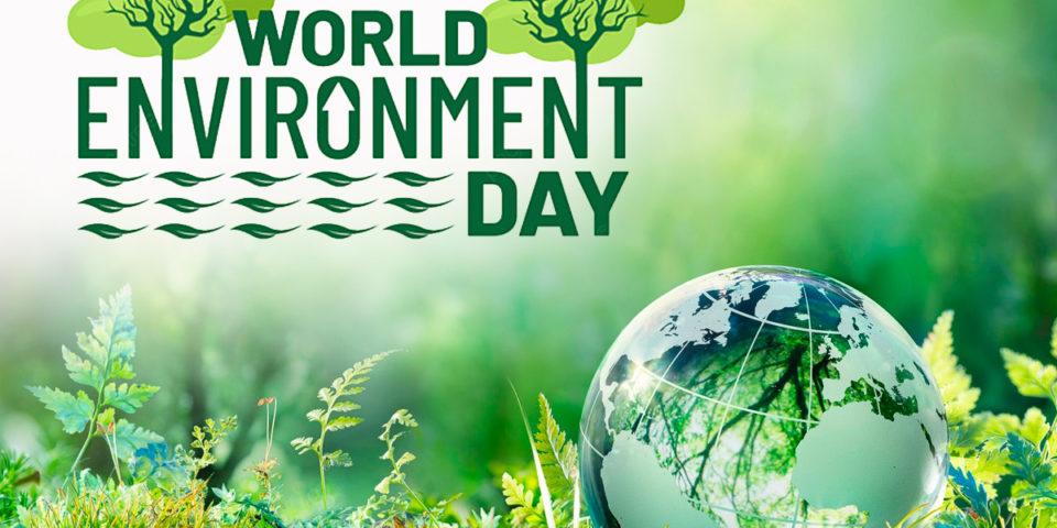 NMC, Green Vigil commemorated World Environment Day in Nagpur