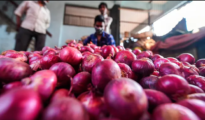Video: Minister’s Onion Advice Sparks Comparison: Petrol, LPG, Elections Next?