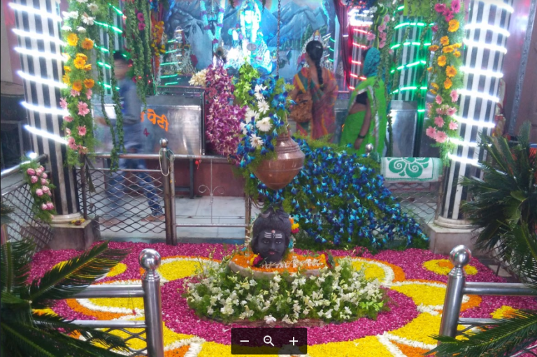 Special Worship in Nagpur Temples on Nag Panchami; Significance of This