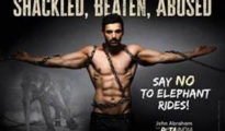 John Abraham ‘Shackled’, ‘Beaten’, and ‘Abused’ in PETA India Campaign Against Elephant Rides