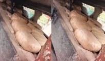 DRI in Nagpur Discovers 211 Kg of Ganja Worth ₹42.2 Lakh Concealed in Tractor’s Covert Compartment