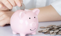 What are Mid Cap funds