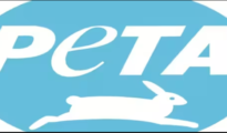 Maharashtra Government Takes Action to Stop Sale and Use of Glue Traps in Response to PETA India Appeal