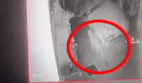 Video: Leopard spotted playfully chasing dog in Nagpur’s Housing Society’s parking lot